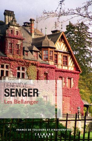 bigCover of the book Les Bellanger by 