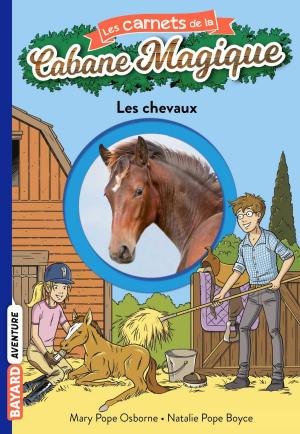 Cover of the book Les carnets de la cabane magique, Tome 23 by Christophe Lambert