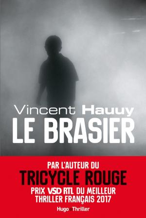 Cover of the book Le brasier by S c Stephens