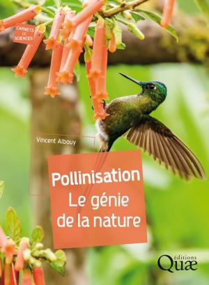 Cover of the book Pollinisation by Guillaume Lecointre