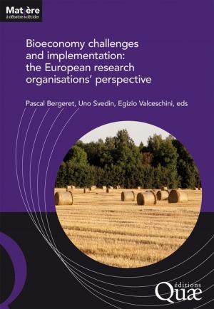 Cover of the book Bioeconomy challenges and implementation: the European research organisations' perspective by Jean-Yves Jamin, Mohamed Gafsi, Jacques Brossier, Patrick Dugué