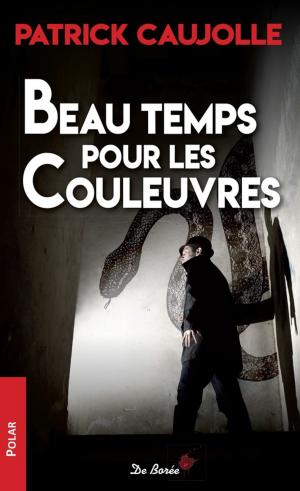 Cover of the book Beau temps pour les couleuvres by Peter Armstrong