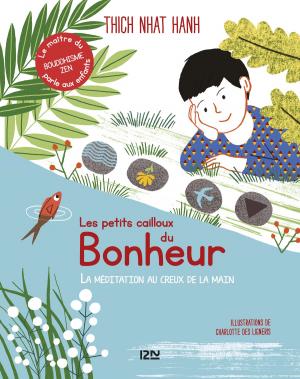 Cover of the book Les Petits Cailloux du bonheur by Holly BLACK, Cassandra CLARE