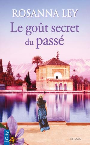 Cover of the book Le goût secret du passé by James Rollins