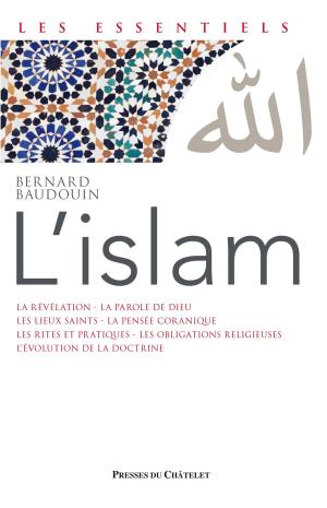Cover of the book L'Islam by Pierre Ripert