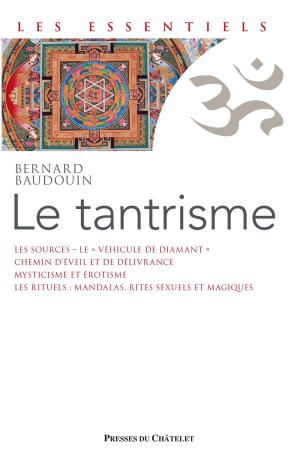 Cover of the book Le Tantrisme by Jean-Yves Leloup