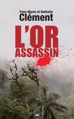 bigCover of the book L'Or assassin by 