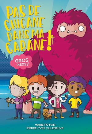 Cover of the book Pas de chicane dans ma cabane tome 2: Gros-pieds by Marie Potvin