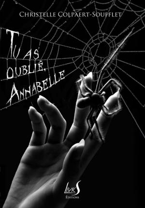 Cover of the book Tu as oublié, Annabelle by John T. McIntyre