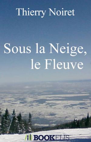 Book cover of Sous la Neige, le Fleuve