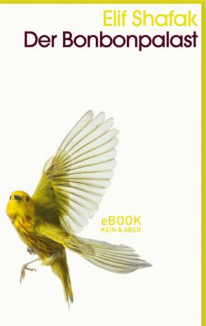 Cover of the book Der Bonbonpalast by Mikael Krogerus, Roman Tschäppeler