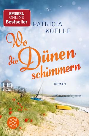 Book cover of Wo die Dünen schimmern