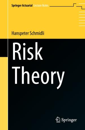 Cover of the book Risk Theory by Fabio Vittorio De Blasio