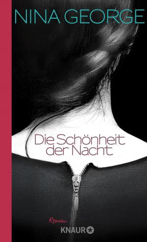 Cover of the book Die Schönheit der Nacht by Ulf Schiewe
