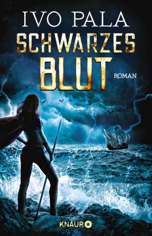 Book cover of Schwarzes Blut