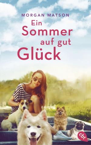 Cover of the book Ein Sommer auf gut Glück by Jonathan Stroud