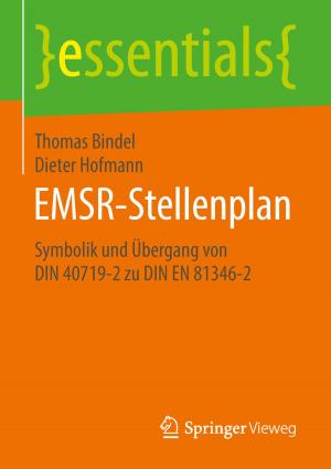 Cover of the book EMSR-Stellenplan by Jens Fuderholz