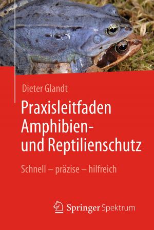 Cover of the book Praxisleitfaden Amphibien- und Reptilienschutz by Karen Ramer, Abass Alavi