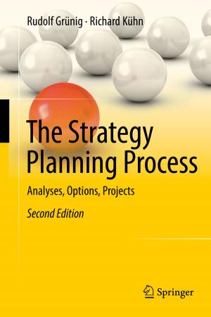 Cover of the book The Strategy Planning Process by Anne Prenzler, J.-Matthias Graf von der Schulenburg, Jan Zeidler