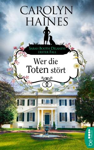 Cover of the book Wer die Toten stört by Marcus Hünnebeck