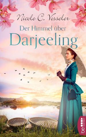 Book cover of Der Himmel über Darjeeling