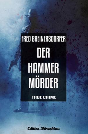 Cover of the book Der Hammermörder by Alfred Bekker, Lukas Vering, Alexander Bertsch