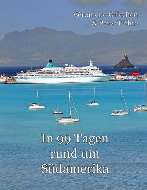 Cover of the book In 99 Tagen rund um Südamerika by Reinhard Wagner