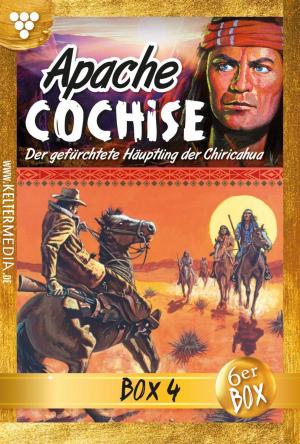 Cover of the book Apache Cochise Jubiläumsbox 4 – Western by Toni Waidacher