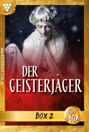 Book cover of Der Geisterjäger Jubiläumsbox 2 – Gruselroman
