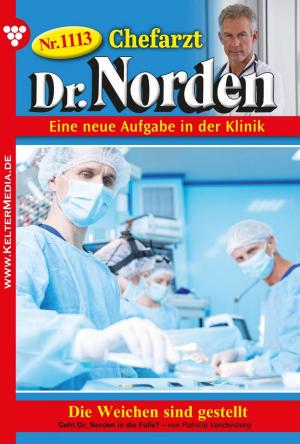 Book cover of Chefarzt Dr. Norden 1113 – Arztroman