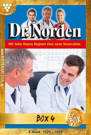 Book cover of Dr. Norden Jubiläumsbox 4 – Arztroman
