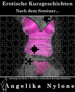 Cover of the book Auszug aus dem 01.Teil der Erotischen Kurzgeschichten by Dr. Hanspeter Hemgesberg
