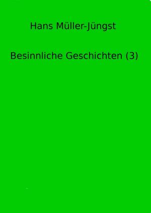 Cover of the book Besinnliche Geschichten (3) by Rebecca Hünicke