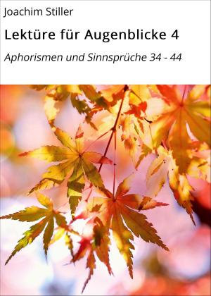 Cover of the book Lektüre für Augenblicke 4 by Ingrid Mayer