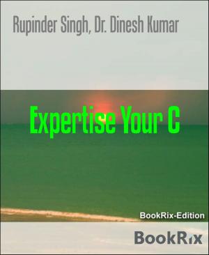 Cover of the book Expertise Your C by Angelika Nylone