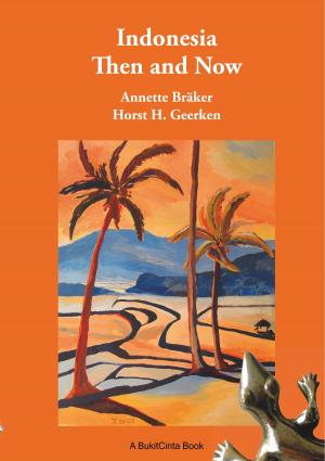 Cover of the book Indonesia Then and Now by Johann Wolfgang von Goethe