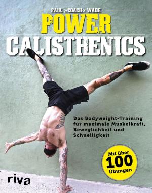 Cover of the book Power Calisthenics by Lindsey Stirling, Brooke S. Passey