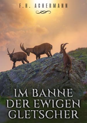 Cover of the book Im Banne der ewigen Gletscher by Vanessa Serra