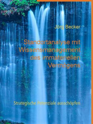 Cover of the book Standortanalyse mit Wissensmanagement des immateriellen Vermögens by Michael Anders