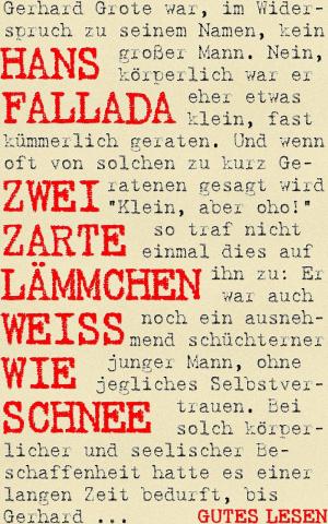Cover of the book Zwei zarte Lämmchen weiß wie Schnee by Alessandro Dallmann