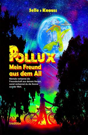 Book cover of POLLUX - Mein Freund aus dem All