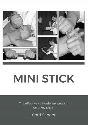 Cover of the book Mini Stick by Ute-Marion Wilkesmann, Barbara Sedelmaier