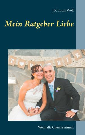 Book cover of Mein Ratgeber Liebe