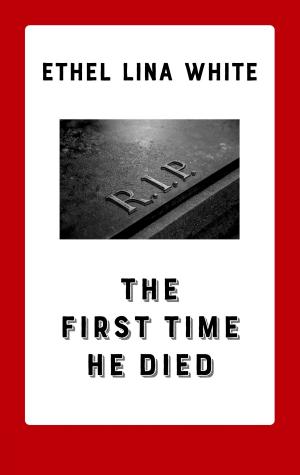 Cover of the book The First Time He Died by Christiane Windhausen, Birgit-Rita Reifferscheidt