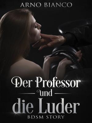 Cover of the book Der Professor und die Luder by Jörg Becker