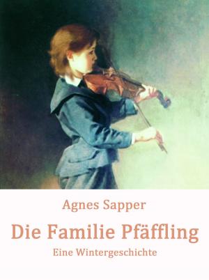 Cover of the book Die Familie Pfäffling by Christoph Däppen
