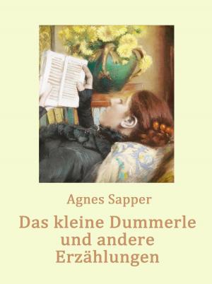 Cover of the book Das kleine Dummerle by Jolan Rieger