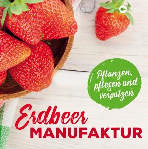Cover of the book Erdbeer-Manufaktur by Bent Ohle
