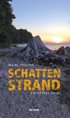 Cover of the book Schattenstrand by Jackson Stein