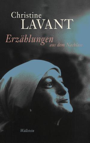 Cover of the book Erzählungen aus dem Nachlass by Patrick Roth